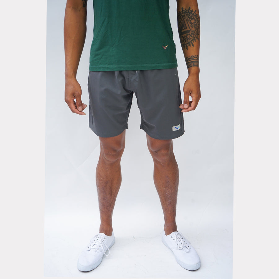 Earth Shorts in Slate Gray 1.0